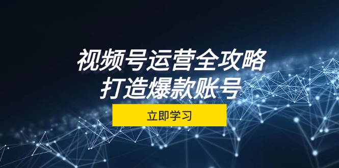 视频号运营全攻略，从定位到成交一站式学习，视频号核心秘诀，打造爆款账号-柠檬网创