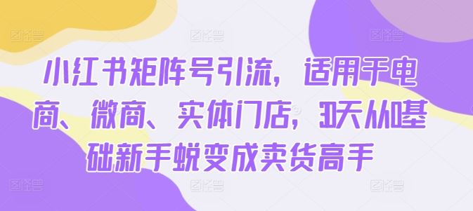小红书矩阵号引流，适用于电商、微商、实体门店，30天从0基础新手蜕变成卖货高手-柠檬网创