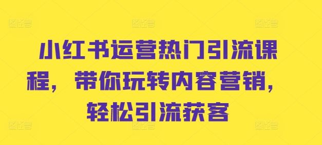小红书运营热门引流课程，带你玩转内容营销，轻松引流获客-柠檬网创