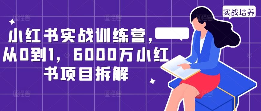 小红书实战训练营，从0到1，6000万小红书项目拆解-柠檬网创