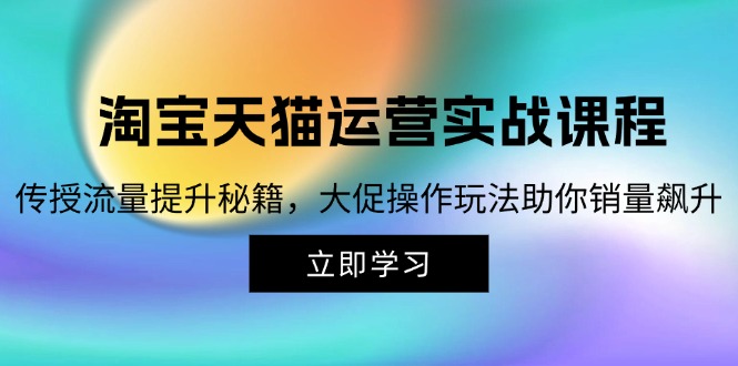 （12959期）淘宝&天猫运营实战课程，传授流量提升秘籍，大促操作玩法助你销量飙升-柠檬网创