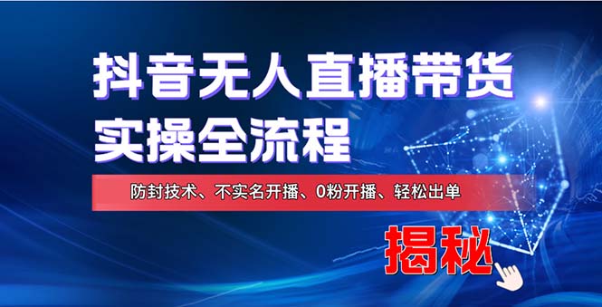 （13001期）在线赚钱新途径：如何用抖音无人直播实现财务自由，全套实操流程，含…-柠檬网创