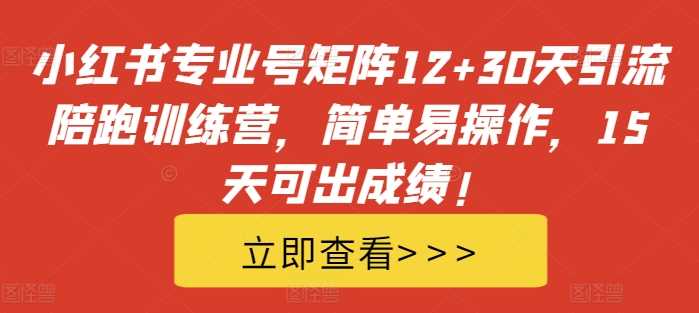 小红书专业号矩阵12+30天引流陪跑训练营，简单易操作，15天可出成绩!-柠檬网创