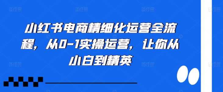 小红书电商精细化运营全流程，从0-1实操运营，让你从小白到精英-柠檬网创