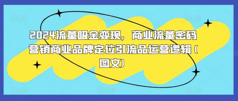 2024流量吸金变现，商业流量密码营销商业品牌定位引流品运营逻辑(图文)-柠檬网创