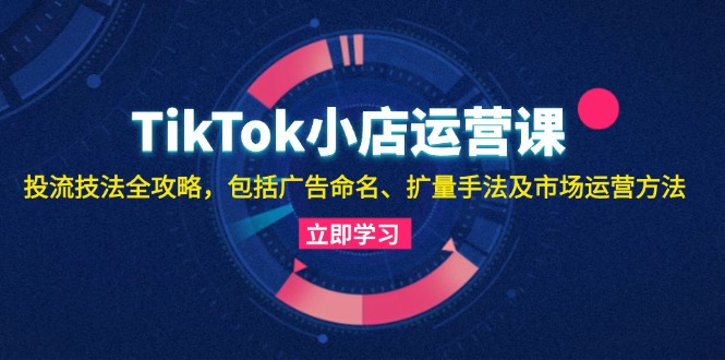 （13063期）TikTok小店运营课：投流技法全攻略，包括广告命名 扩量手法及市场运营方法-柠檬网创