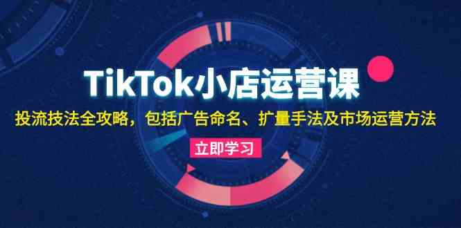 TikTok小店运营课：投流技法全攻略，包括广告命名 扩量手法及市场运营方法-柠檬网创