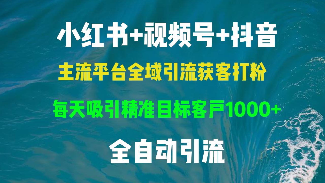 （13104期）小红书，视频号，抖音主流平台全域引流获客打粉，每天吸引精准目标客户…-柠檬网创