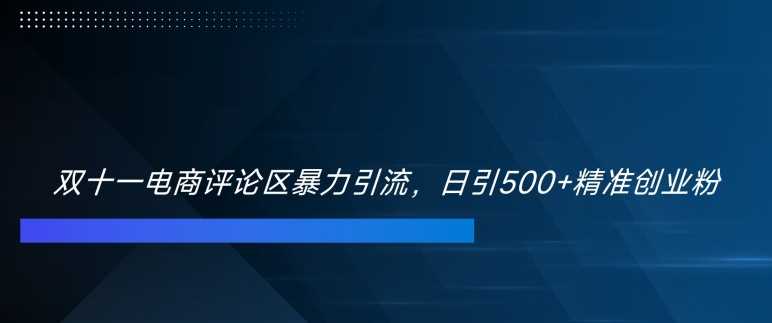 双十一电商评论区暴力引流，日引500+精准创业粉【揭秘】-柠檬网创