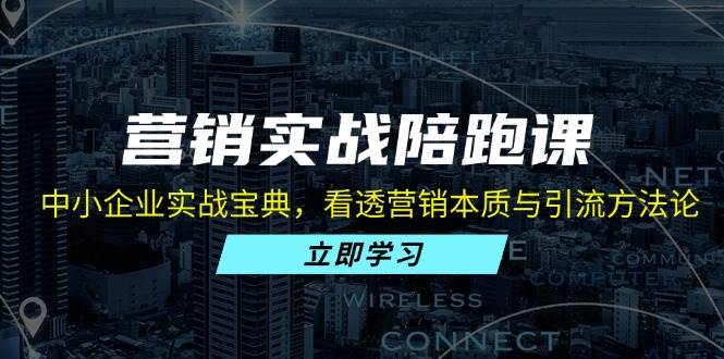 （13146期）营销实战陪跑课：中小企业实战宝典，看透营销本质与引流方法论-柠檬网创