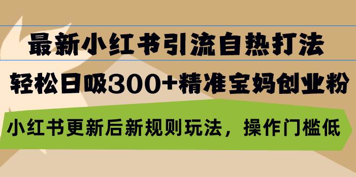 （13145期）最新小红书引流自热打法，轻松日吸300+精准宝妈创业粉，小红书更新后新…-柠檬网创