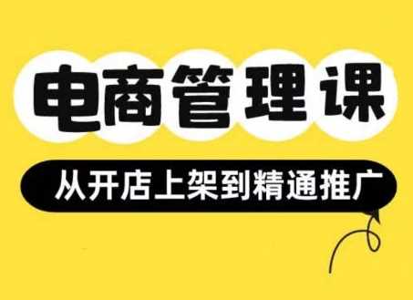 小红书&闲鱼开店从开店上架到精通推广，电商管理课-柠檬网创