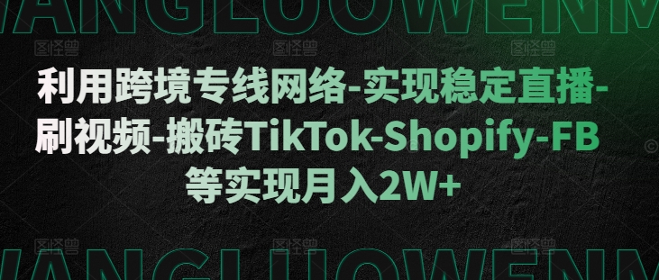 利用跨境专线网络-实现稳定直播-刷视频-搬砖TikTok-Shopify-FB等实现月入2W+【揭秘】-柠檬网创