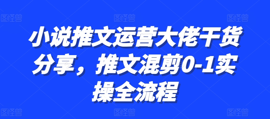 小说推文运营大佬干货分享，推文混剪0-1实操全流程-柠檬网创