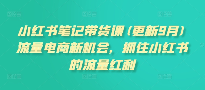 小红书笔记带货课(更新10月)流量电商新机会，抓住小红书的流量红利-柠檬网创