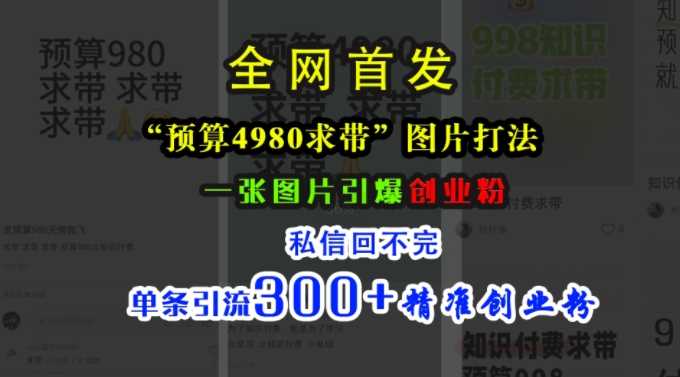 小红书“预算4980带我飞”图片打法，一张图片引爆创业粉，私信回不完，单条引流300+精准创业粉-柠檬网创