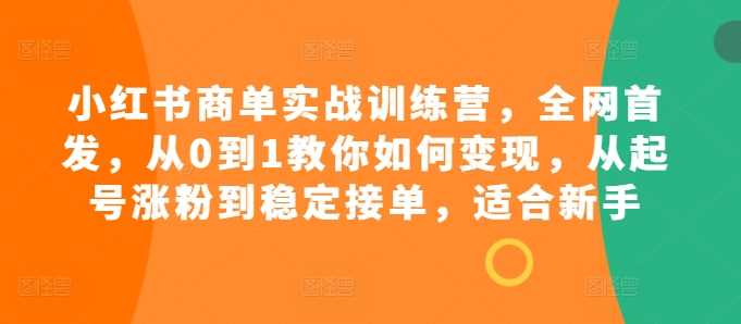 小红书商单实战训练营，全网首发，从0到1教你如何变现，从起号涨粉到稳定接单，适合新手-柠檬网创