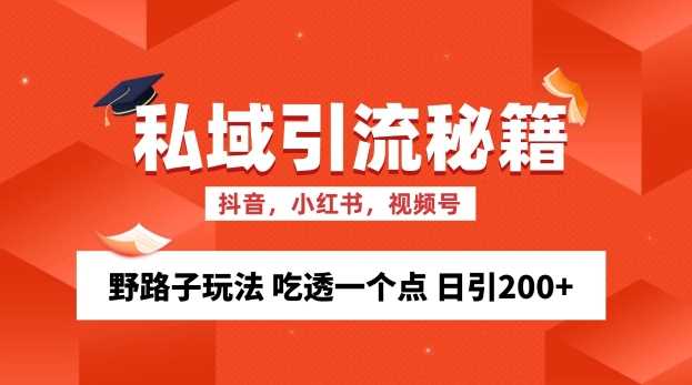 私域流量的精准化获客方法 野路子玩法 吃透一个点 日引200+ 【揭秘】-柠檬网创