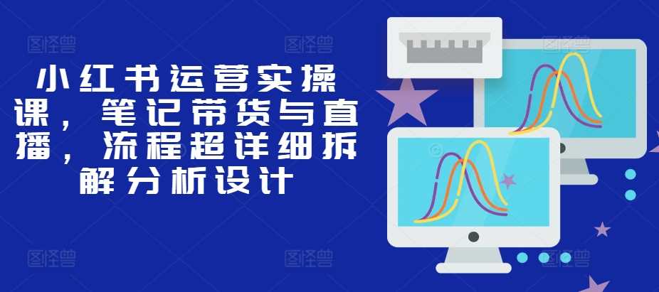 小红书运营实操课，笔记带货与直播，流程超详细拆解分析设计-柠檬网创