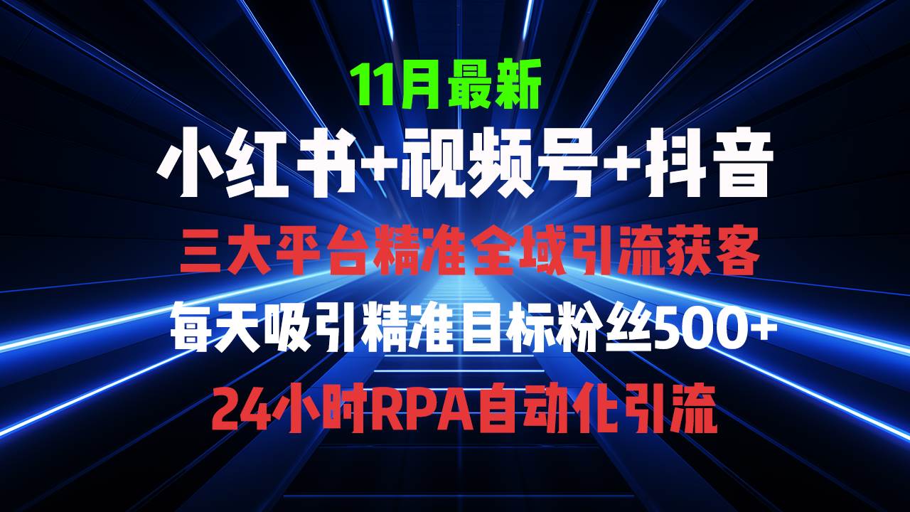 （13259期）全域多平台引流私域打法，小红书，视频号，抖音全自动获客，截流自…-柠檬网创
