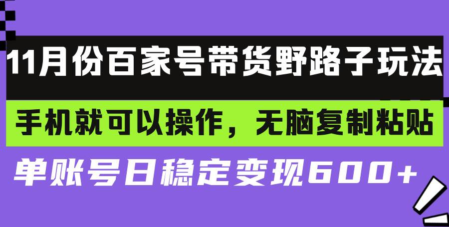 （13281期）百家号带货野路子玩法 手机就可以操作，无脑复制粘贴 单账号日稳定变现…-柠檬网创