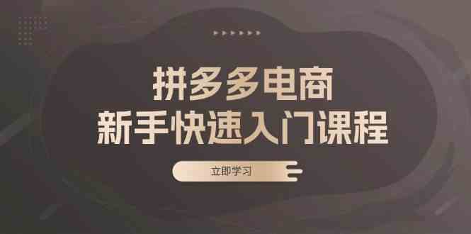 拼多多电商新手快速入门课程：涵盖基础、实战与选款，助力小白轻松上手-柠檬网创