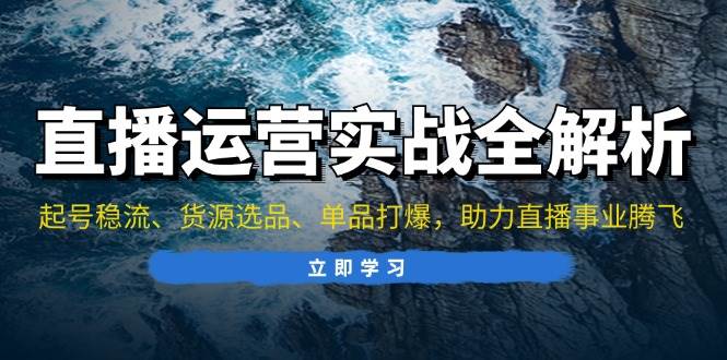 （13294期）直播运营实战全解析：起号稳流、货源选品、单品打爆，助力直播事业腾飞-柠檬网创
