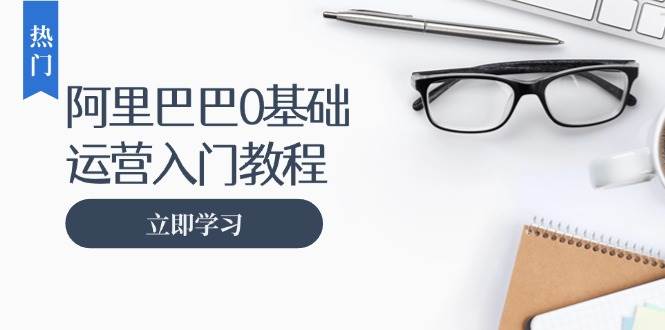 （13291期）阿里巴巴运营零基础入门教程：涵盖开店、运营、推广，快速成为电商高手-柠檬网创