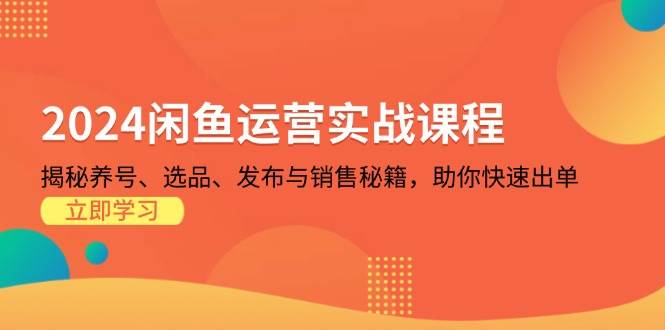 （13290期）2024闲鱼运营实战课程：揭秘养号、选品、发布与销售秘籍，助你快速出单-柠檬网创