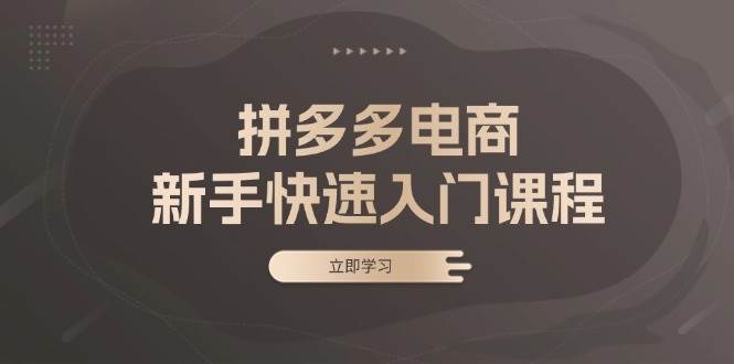 （13289期）拼多多电商新手快速入门课程：涵盖基础、实战与选款，助力小白轻松上手-柠檬网创