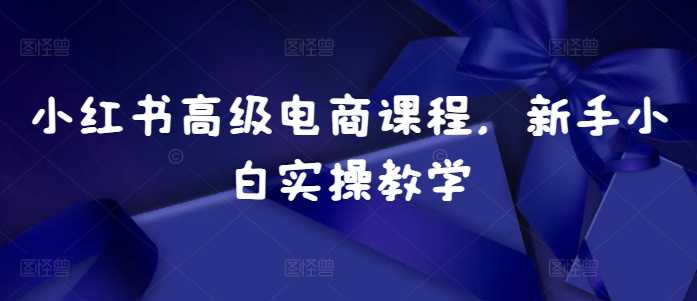 小红书高级电商课程，新手小白实操教学-柠檬网创