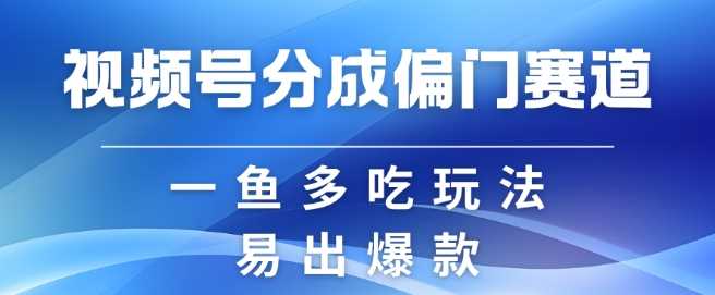 视频号创作者分成计划偏门类目，容易爆流，实拍内容简单易做【揭秘】-柠檬网创