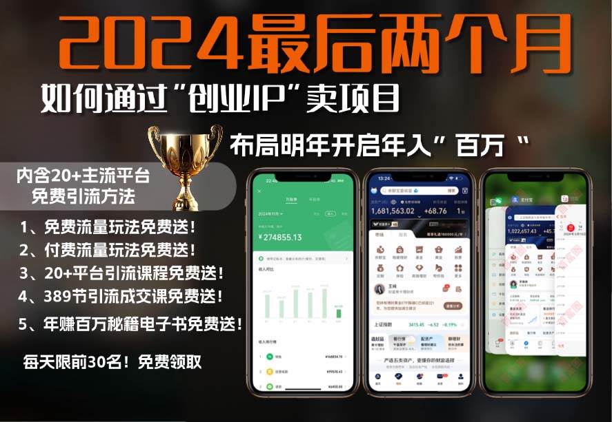 （13322期）2024最后两个月如何通过”创业IP“卖项目年入”百万“,创业IP+最强引流…-柠檬网创