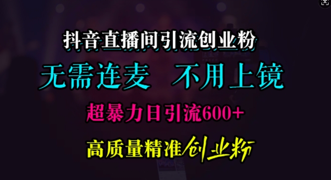 抖音直播间引流创业粉，无需连麦、无需上镜，超暴力日引流600+高质量精准创业粉【揭秘】-柠檬网创