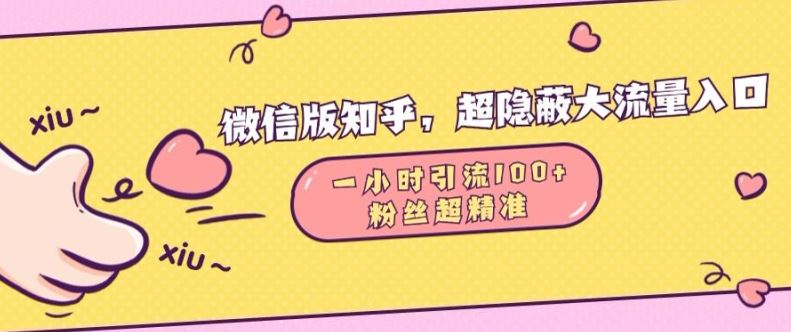 微信版知乎，超隐蔽流量入口1小时引流100人，粉丝质量超高【揭秘】-柠檬网创