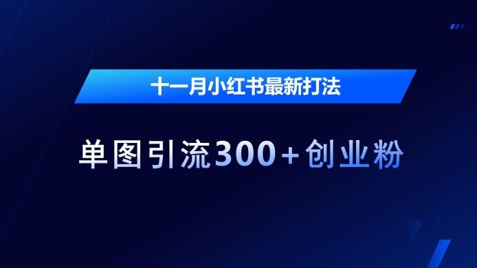 十一月小红书最新打法，单图引流300+创业粉【揭秘】-柠檬网创