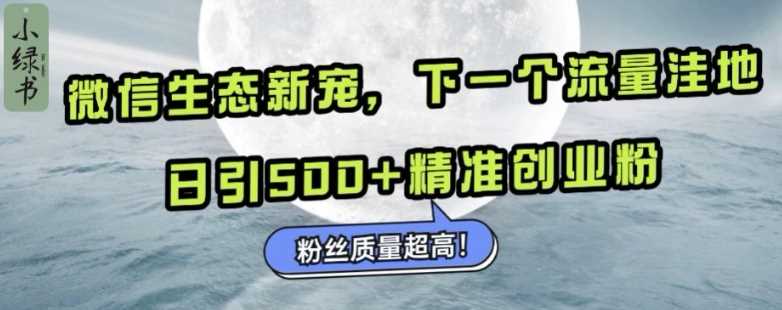 微信生态新宠小绿书：下一个流量洼地，日引500+精准创业粉，粉丝质量超高-柠檬网创