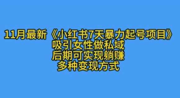 K总部落11月最新小红书7天暴力起号项目，吸引女性做私域【揭秘】-柠檬网创