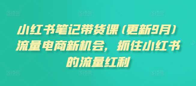 小红书笔记带货课(更新11月)流量电商新机会，抓住小红书的流量红利-柠檬网创