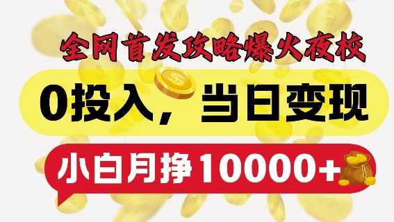 全网首发爆火夜校，0投入，当日变现，小白轻松月入1w+【揭秘】-柠檬网创