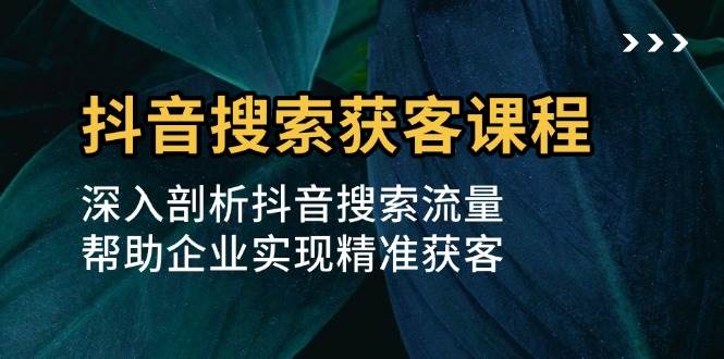 （13465期）抖音搜索获客课程：深入剖析抖音搜索流量，帮助企业实现精准获客-柠檬网创
