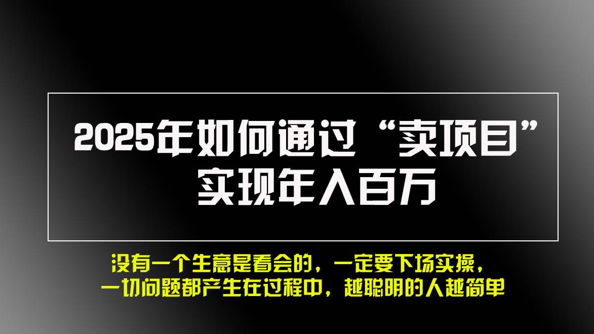 （13468期）2025年如何通过“卖项目”实现年入百万，做网赚必看！！-柠檬网创