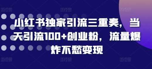 小红书独家引流三重奏，当天引流100+创业粉，流量爆炸不愁变现【揭秘】-柠檬网创