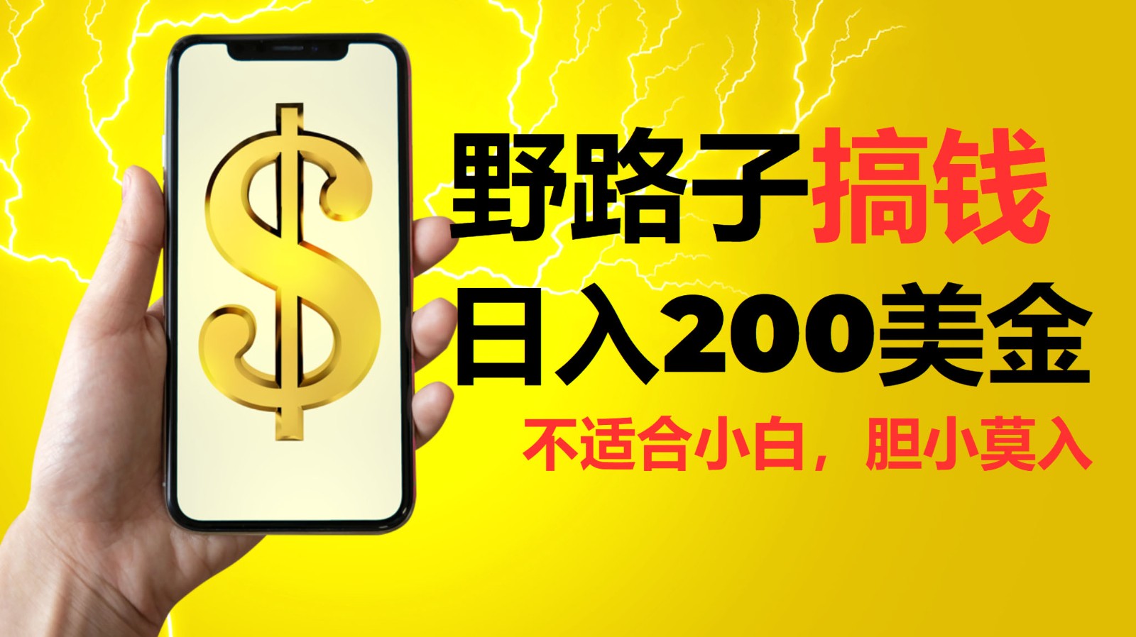 挂机野路子搞钱，日入200美金，路子很野，小白莫入-柠檬网创