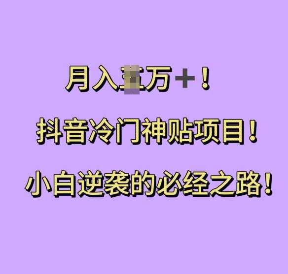 抖音冷门神贴项目，小白逆袭的必经之路，月入过W【揭秘】-柠檬网创