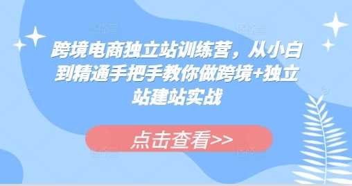 跨境电商独立站训练营，从小白到精通手把手教你做跨境+独立站建站实战-柠檬网创