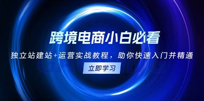 （13503期）跨境电商小白必看！独立站建站+运营实战教程，助你快速入门并精通-柠檬网创