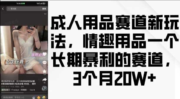 成人用品赛道新玩法，情趣用品一个长期暴利的赛道，3个月收益20个【揭秘】-柠檬网创