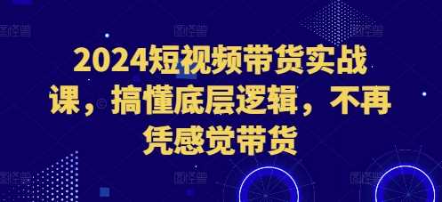 2024短视频带货实战课，搞懂底层逻辑，不再凭感觉带货-柠檬网创