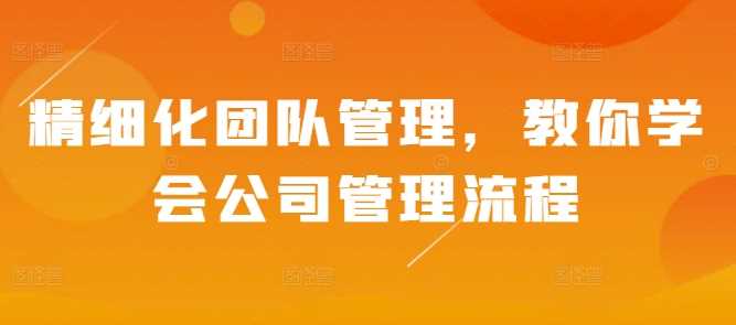 精细化团队管理，教你学会公司管理流程-柠檬网创